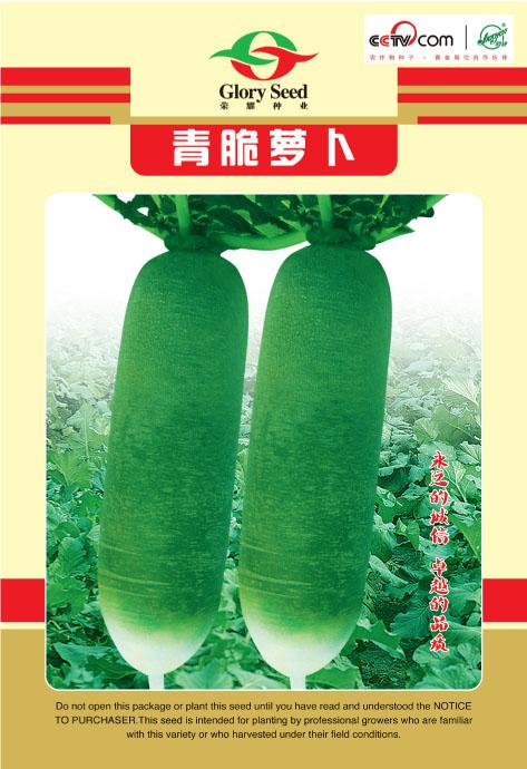 Qingcui Radish——Radish